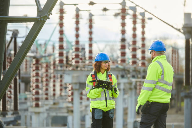 Best Electric Panel Repair  in Onarga, IL